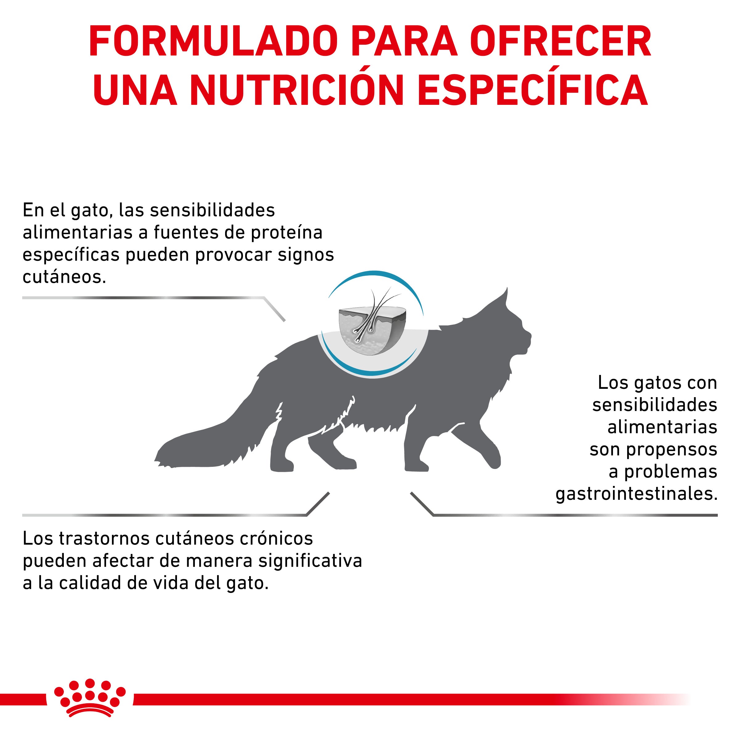 Royal Canin Veterinary Hypoallergenic Pienso para Gatos al mejor precio -todoastorenimal.com