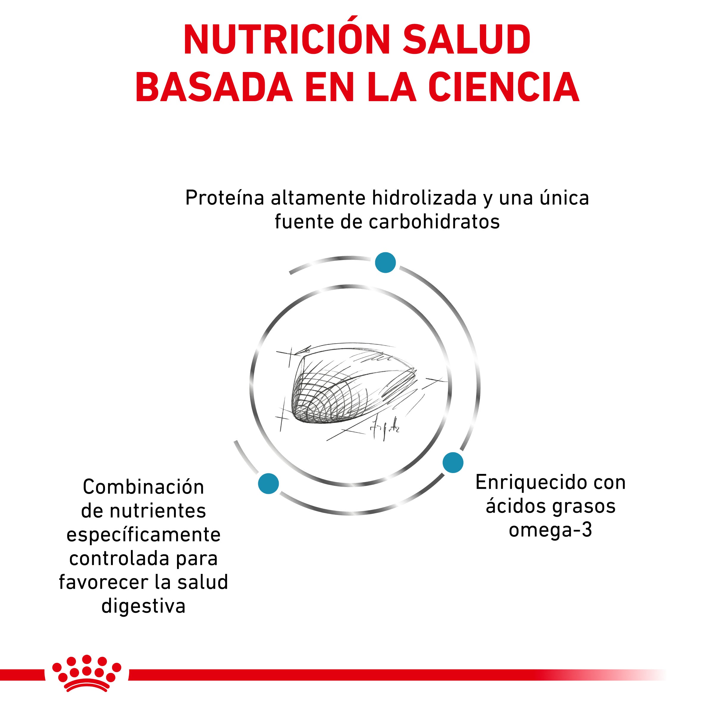 Royal Canin Veterinary Hypoallergenic Pienso para Gatos al mejor precio -todoastorenimal.com