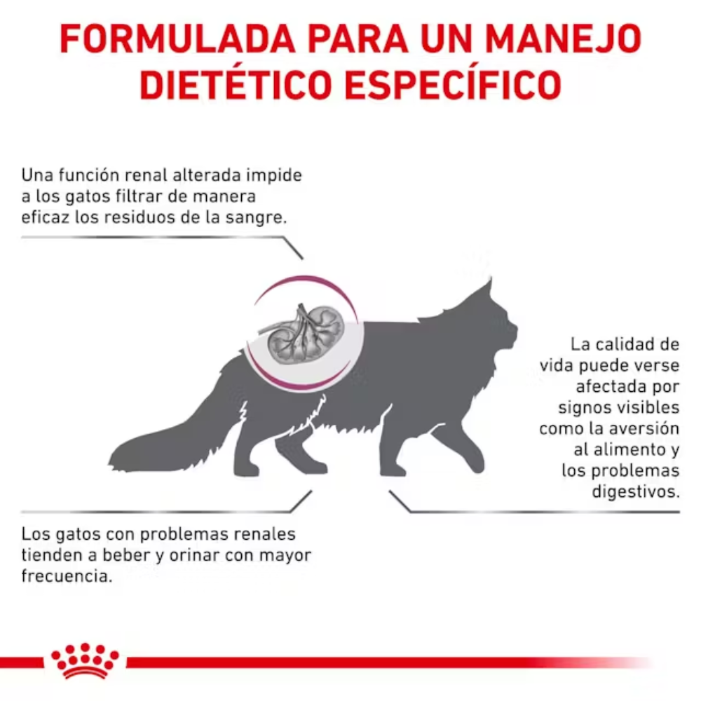 Royal Canin Veterinary Renal Special Pienso para Gatos al mejor precio -todoastorenimal.com