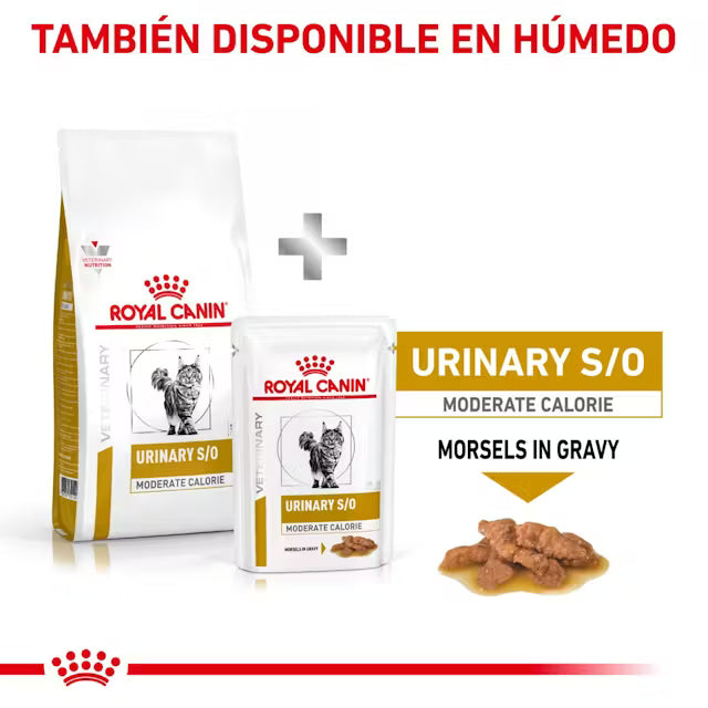 Royal Canin Veterinary Urinary S/O Moderate Calorie Sobre 85 g Sobre Alimento Húmedo para Gatos al mejor precio -todoastorenimal.com