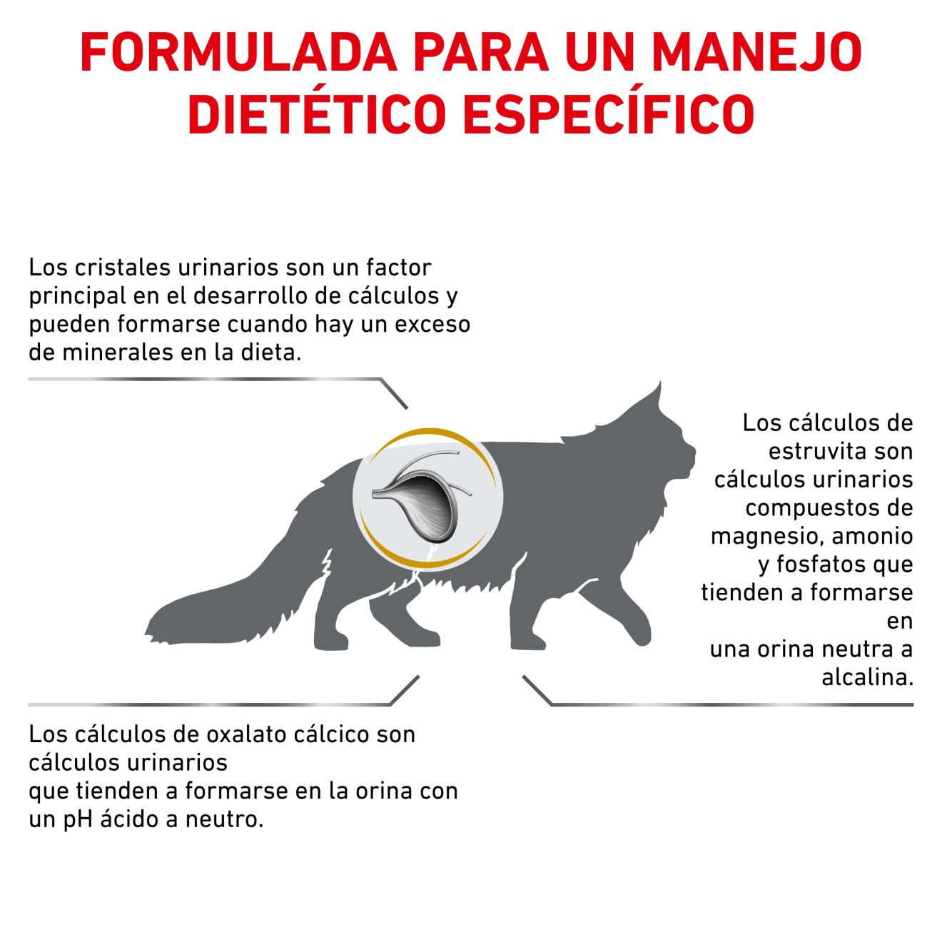 Royal Canin Veterinary Urinary S/O Pienso para Gatos al mejor precio -todoastorenimal.com