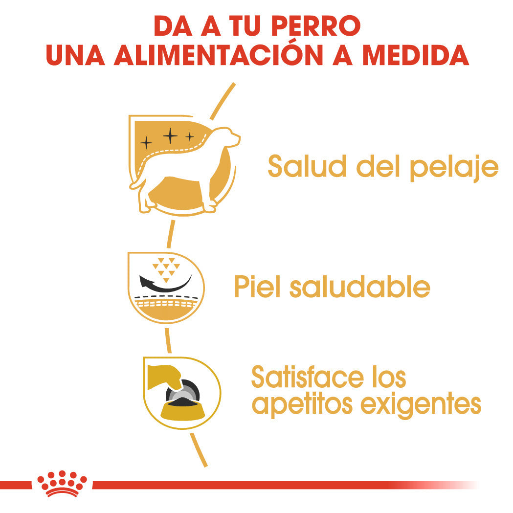 Royal Canin West Highland White Terrier Adulto Pienso para Perros de Raza al mejor precio -todoastorenimal.com