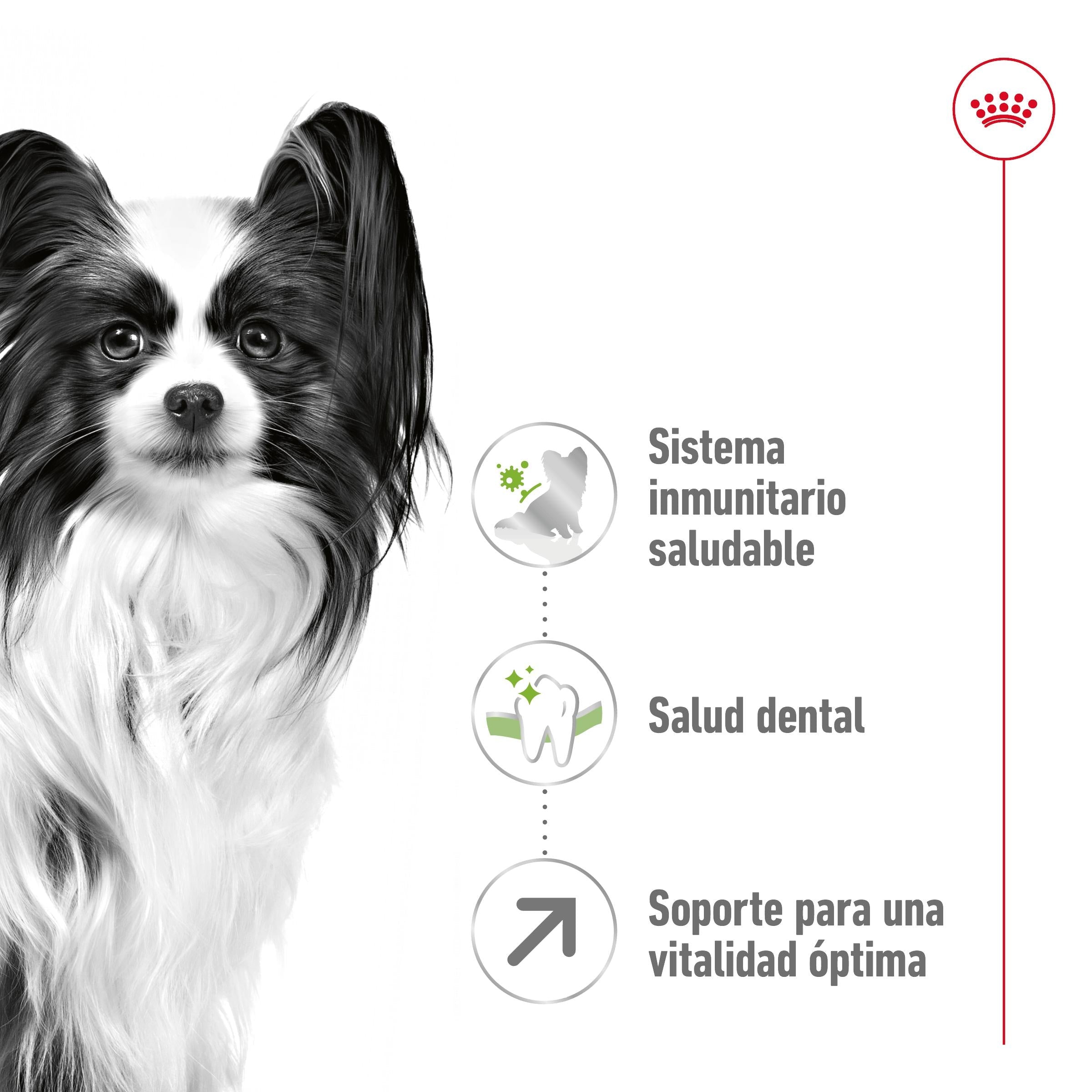 Royal Canin X-Small 8+ Pienso para Perros al mejor precio -todoastorenimal.com