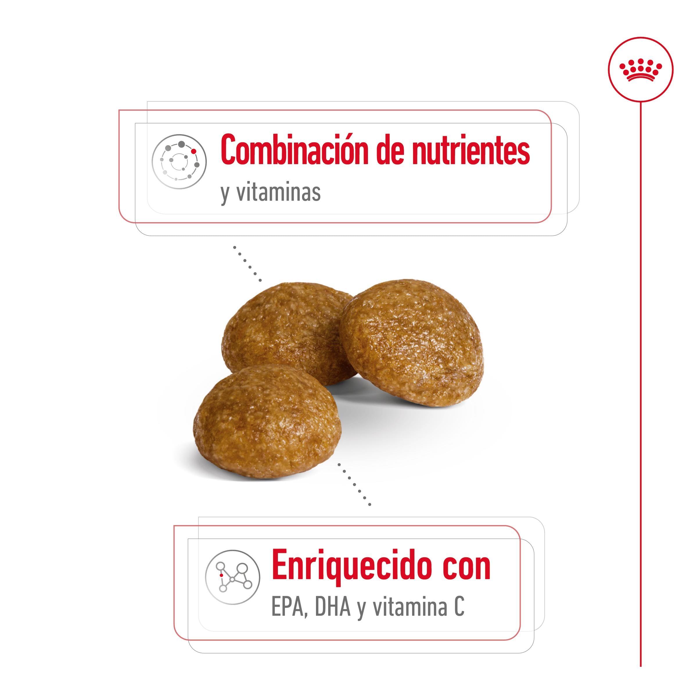 Royal Canin X-Small 8+ Pienso para Perros al mejor precio -todoastorenimal.com
