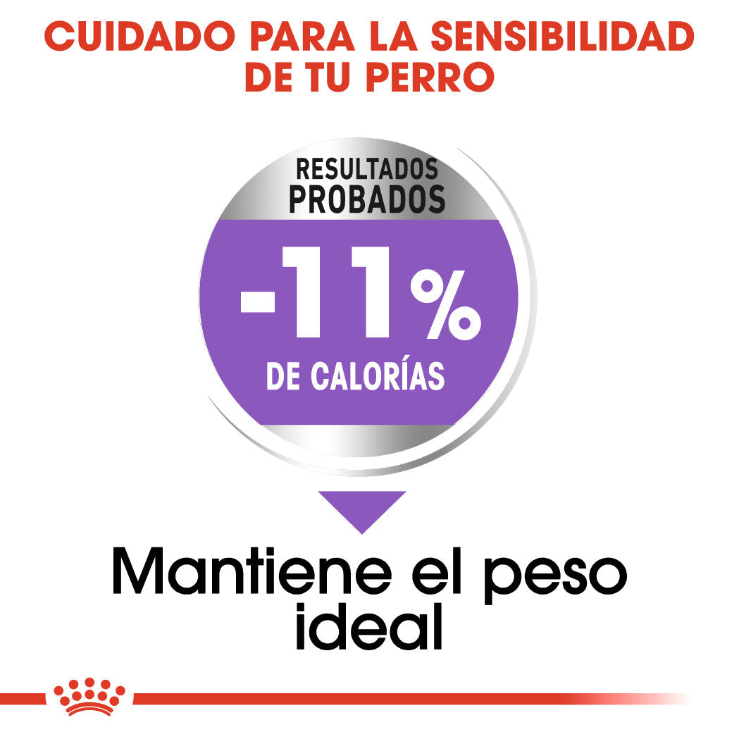Royal Canin X-Small Adult Sterilized Care Pienso para Perros Esterilizados al mejor precio -todoastorenimal.com