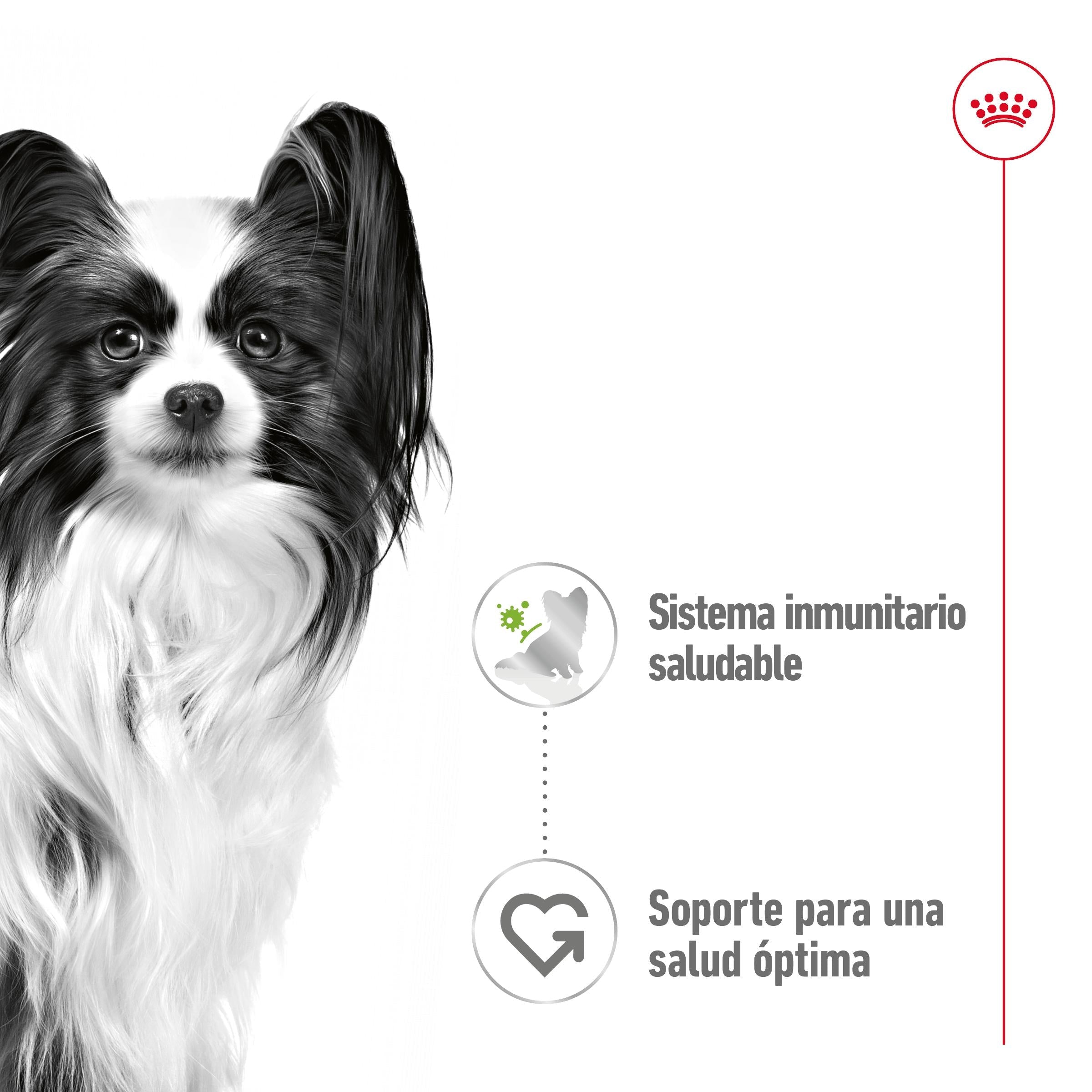 Royal Canin X-Small Adulto 85 g Comida Húmeda para Perros al mejor precio -todoastorenimal.com