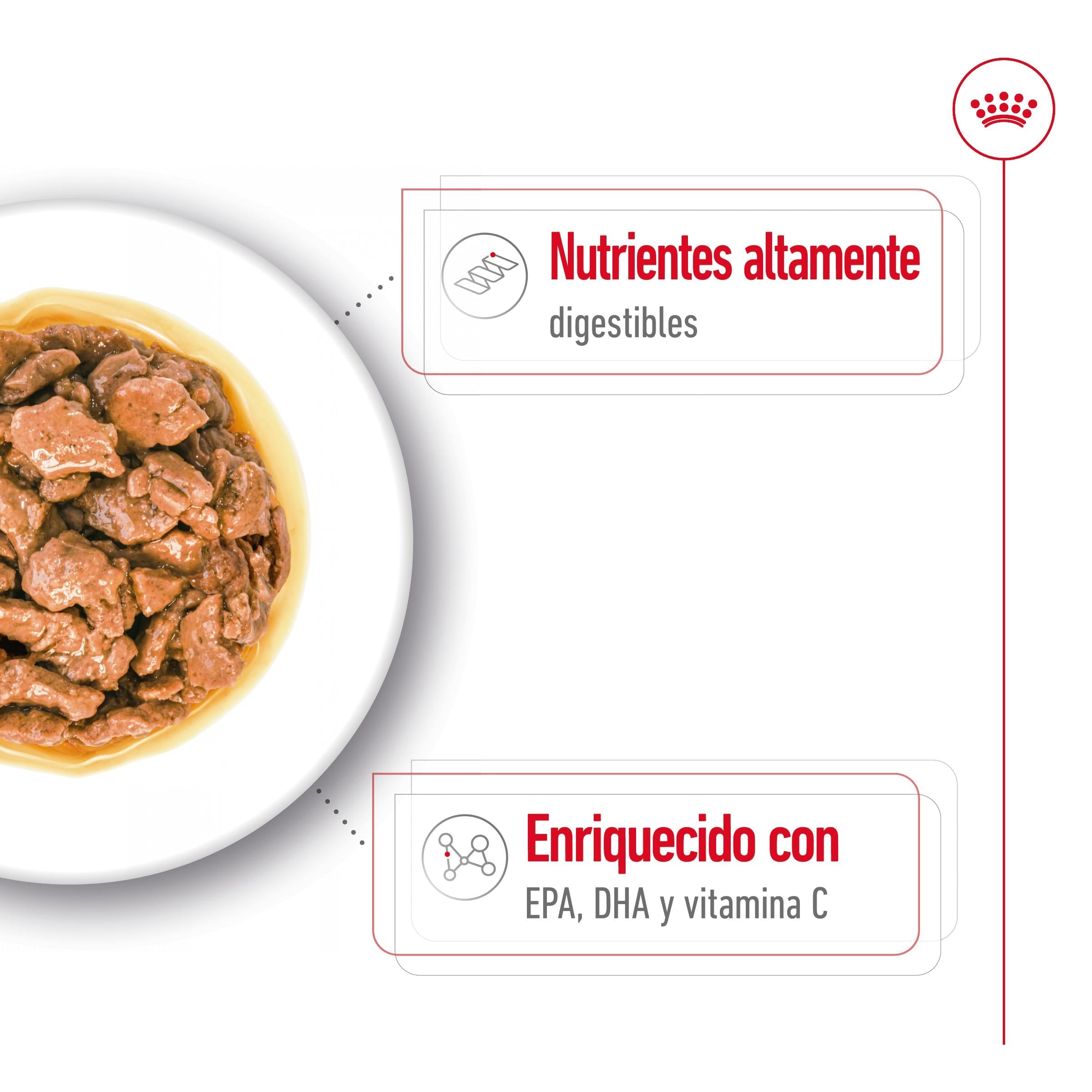 Royal Canin X-Small Adulto 85 g Comida Húmeda para Perros al mejor precio -todoastorenimal.com