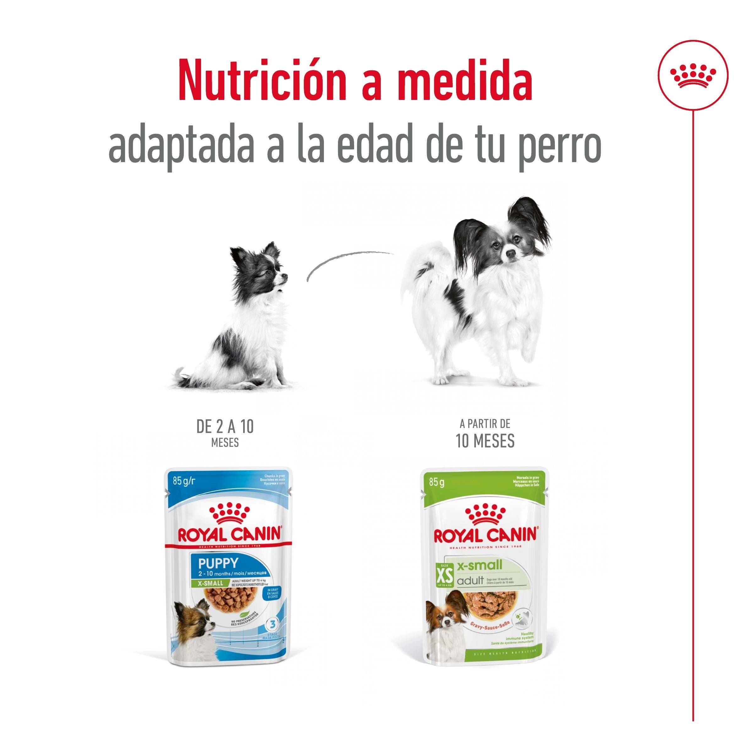 Royal Canin X-Small Adulto 85 g Comida Húmeda para Perros al mejor precio -todoastorenimal.com