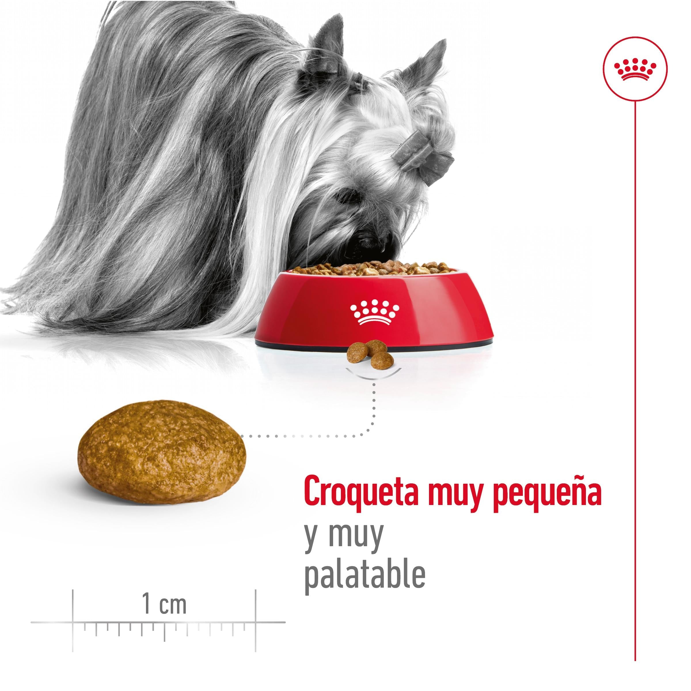 Royal Canin X-Small Adulto Pienso para Perros al mejor precio -todoastorenimal.com