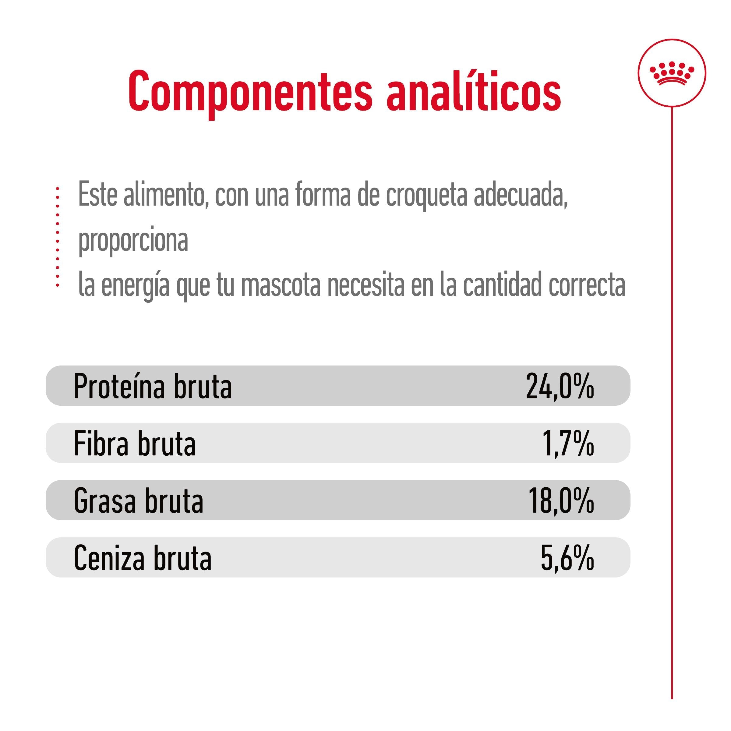 Royal Canin X-Small Adulto Pienso para Perros al mejor precio -todoastorenimal.com