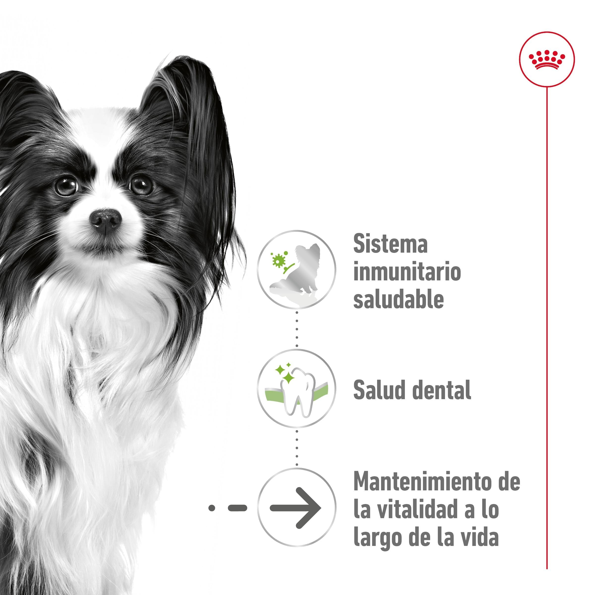 Royal Canin X-Small Ageing 12+ Pienso para Perros Senior al mejor precio -todoastorenimal.com
