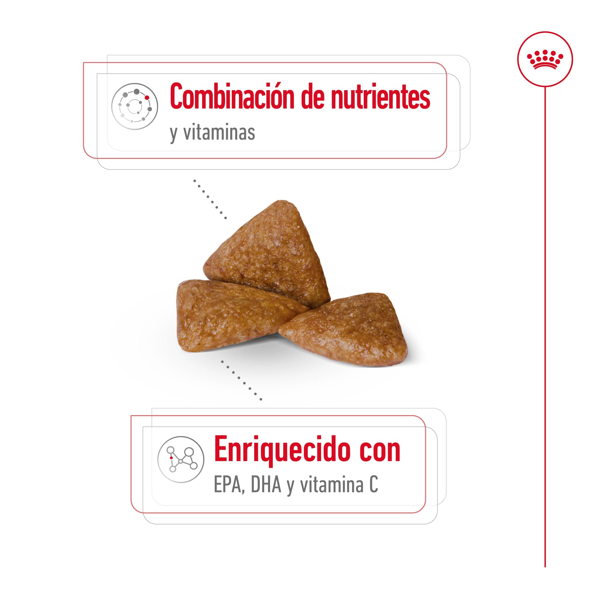 Royal Canin X-Small Ageing 12+ Pienso para Perros Senior al mejor precio -todoastorenimal.com
