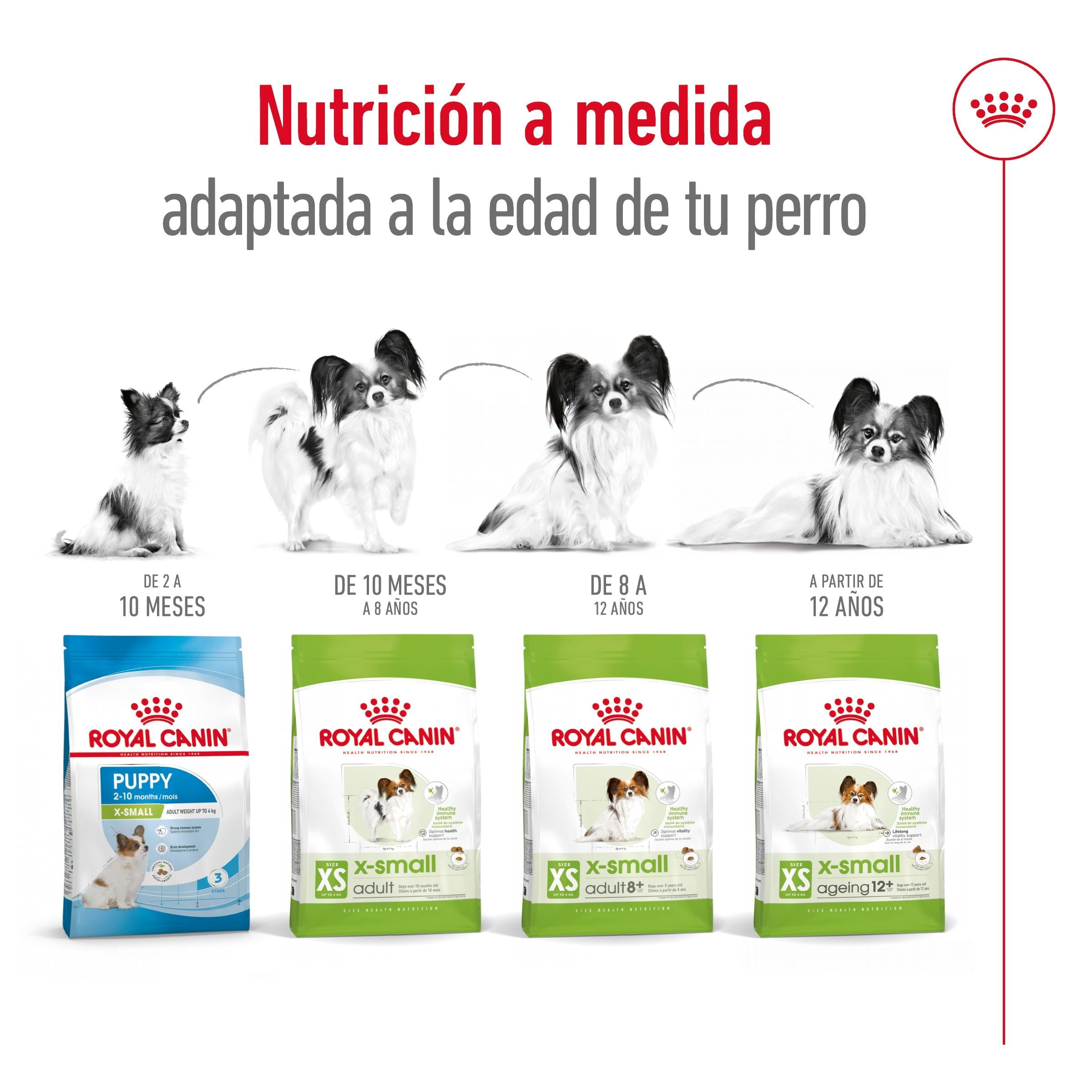 Royal Canin X-Small Ageing 12+ Pienso para Perros Senior al mejor precio -todoastorenimal.com