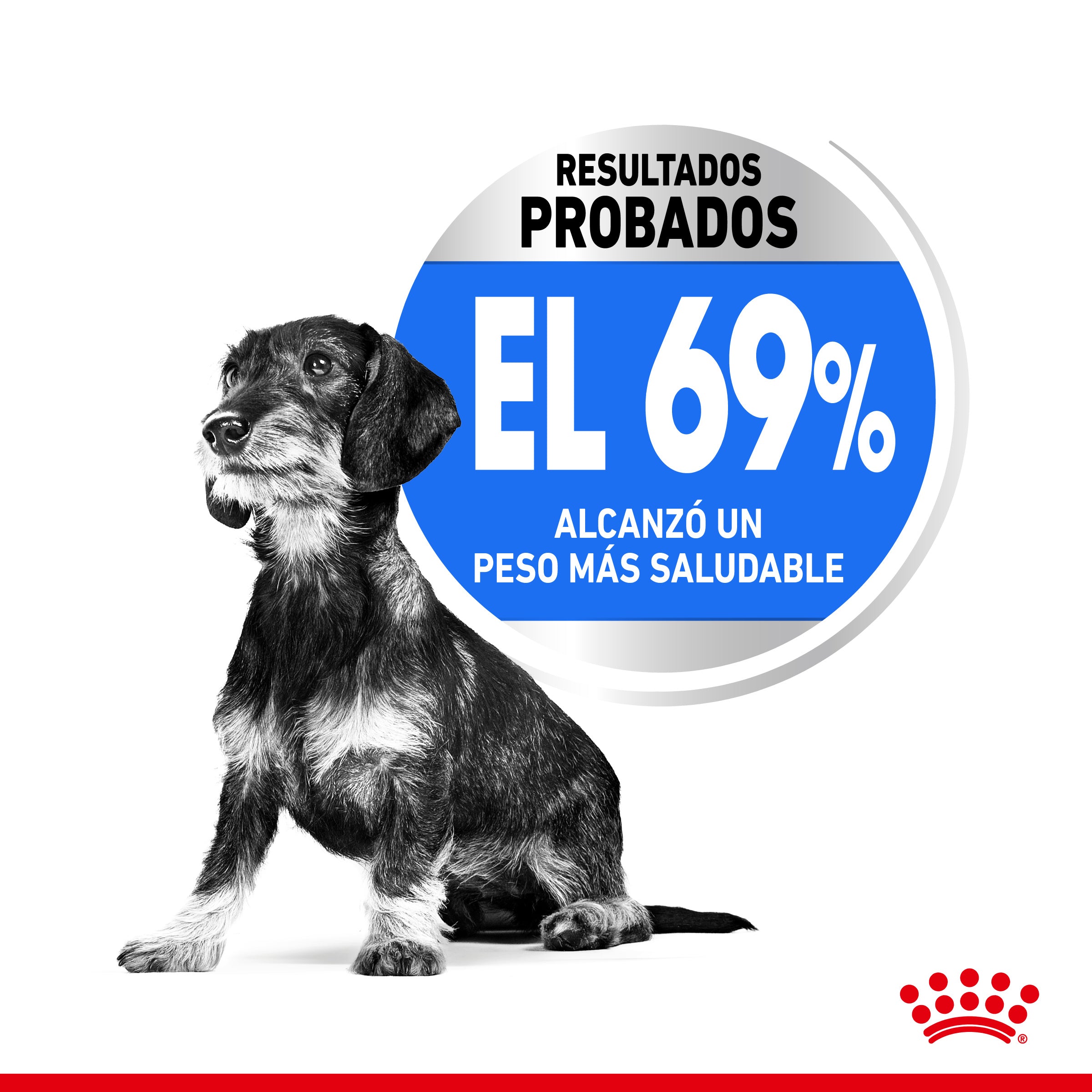 Royal Canin X-Small Light Weight Care Pienso para Perros al mejor precio -todoastorenimal.com