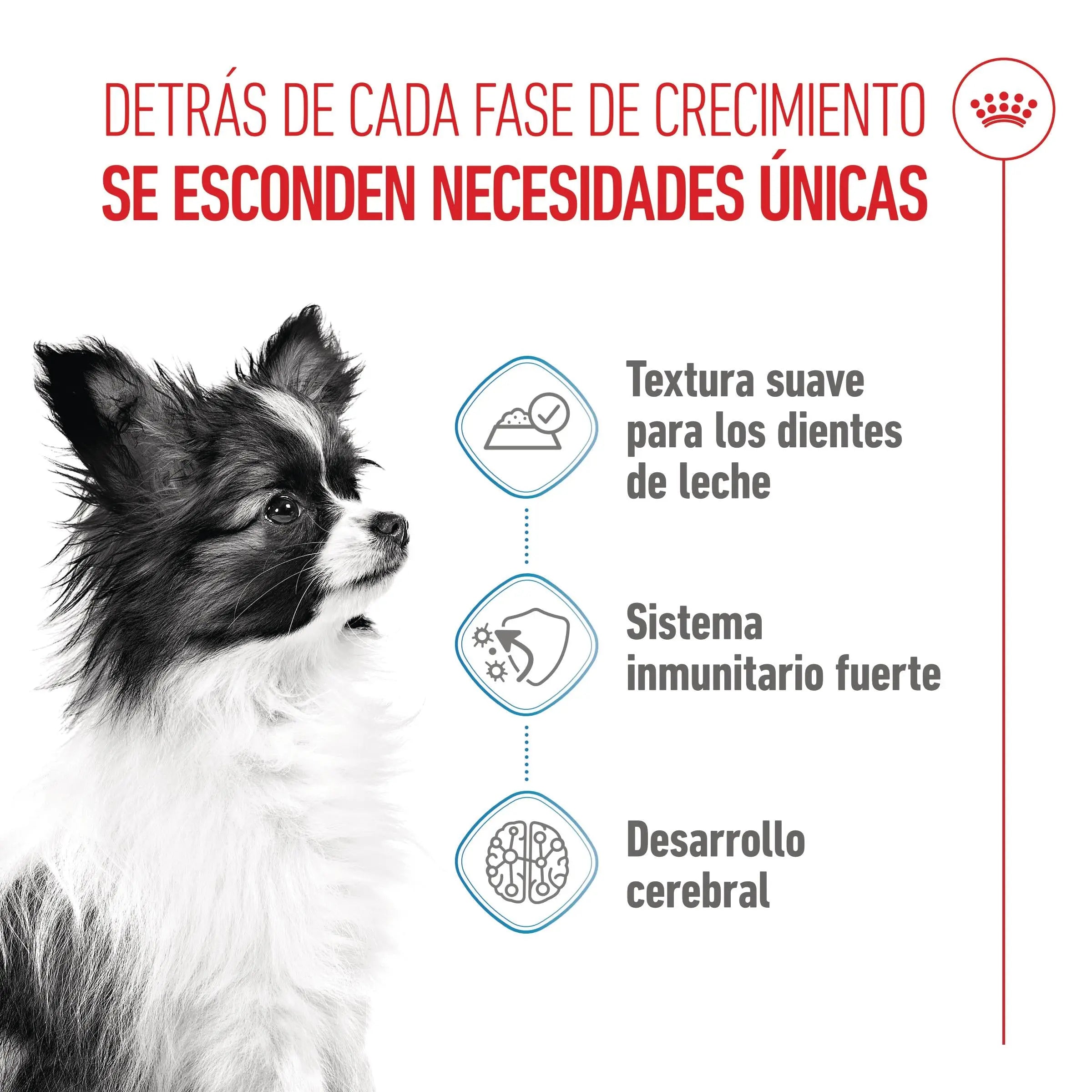 Royal Canin X-Small Puppy 85 g Alimento Húmedo para Cachorros al mejor precio -todoastorenimal.com