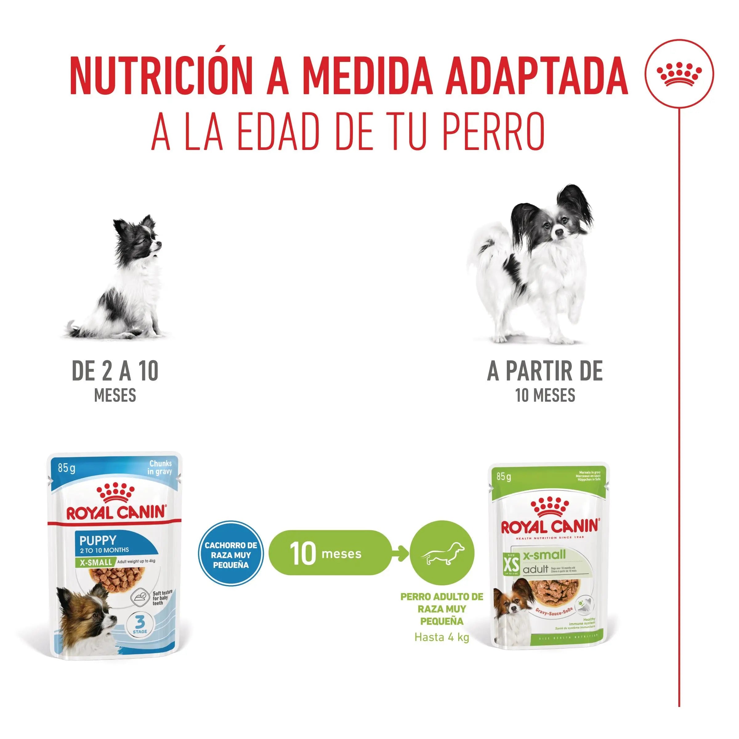 Royal Canin X-Small Puppy 85 g Alimento Húmedo para Cachorros al mejor precio -todoastorenimal.com