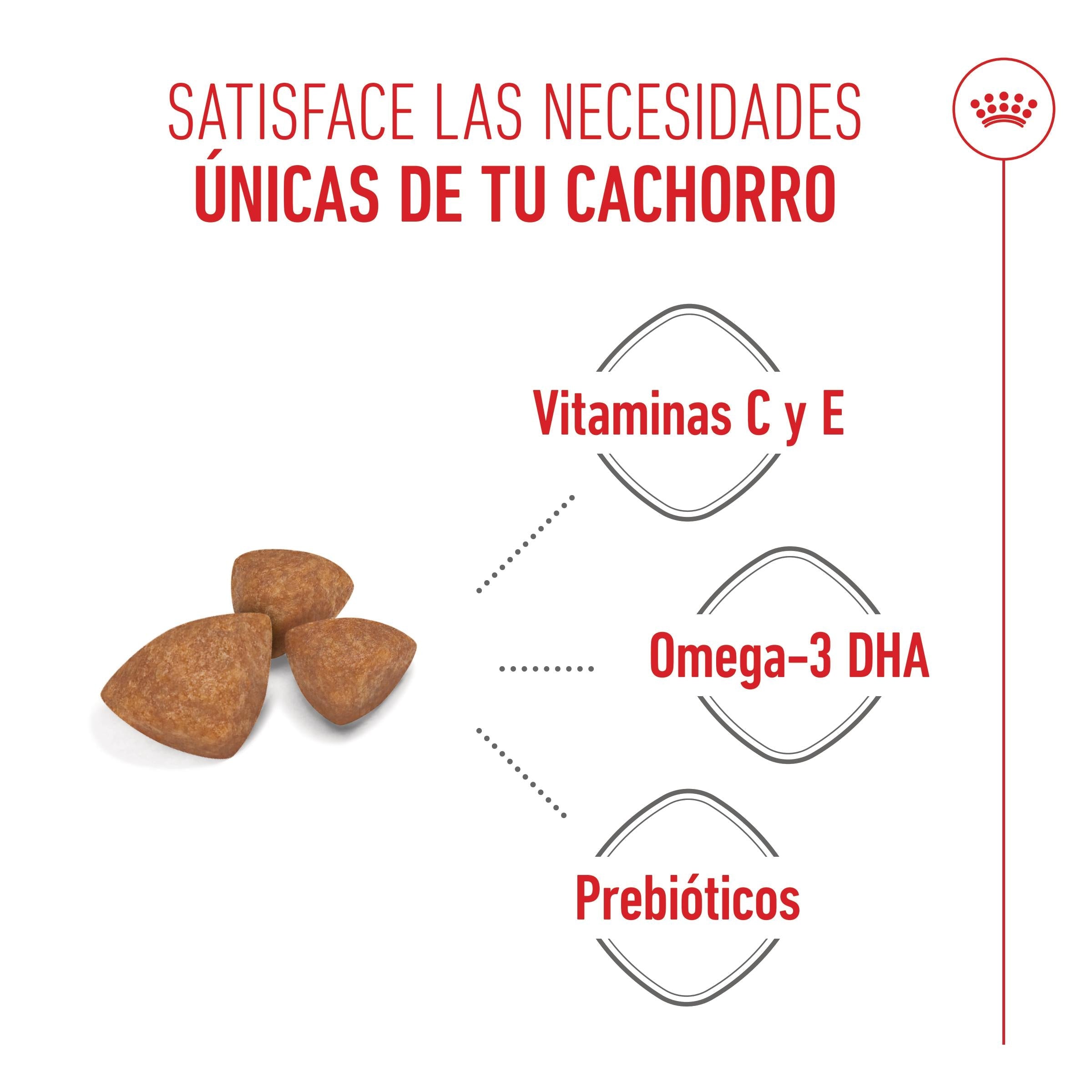 Royal Canin X-Small Puppy Pienso para Cachorros al mejor precio -todoastorenimal.com