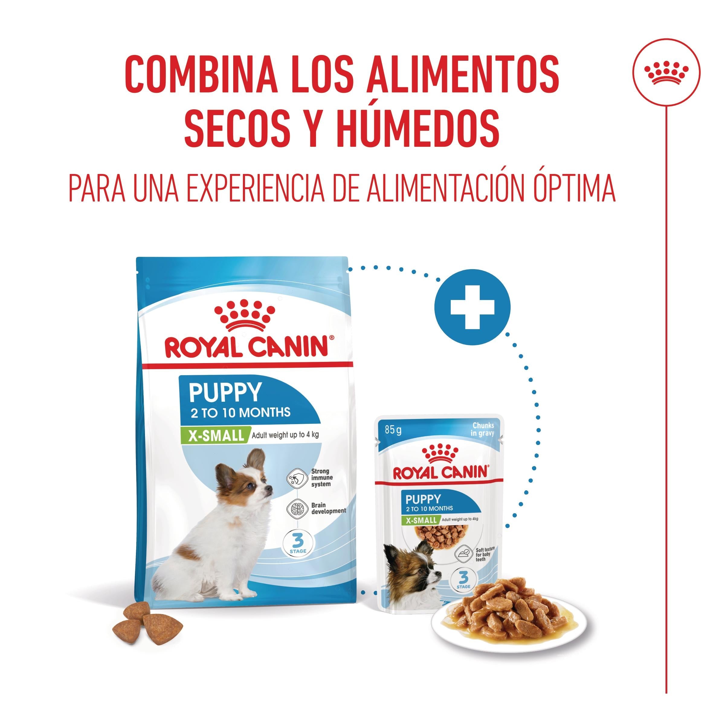 Royal Canin X-Small Puppy Pienso para Cachorros al mejor precio -todoastorenimal.com