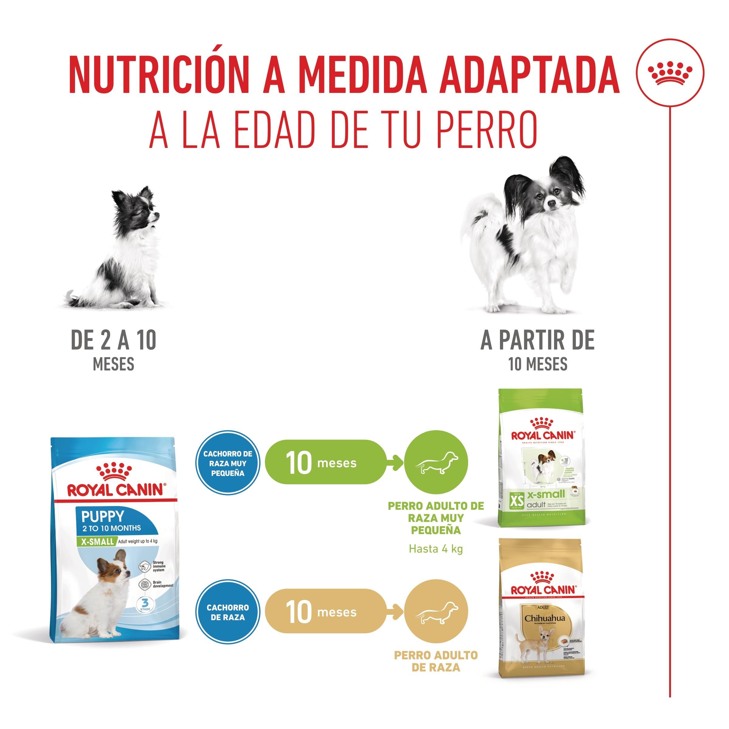Royal Canin X-Small Puppy Pienso para Cachorros al mejor precio -todoastorenimal.com