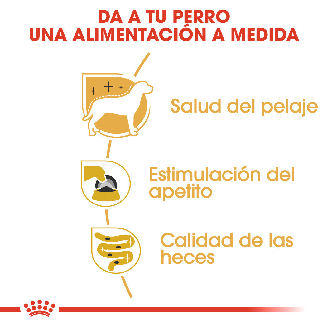 Royal Canin Yorkshire Paté Adulto 85 g Comida Húmeda para Perros al mejor precio -todoastorenimal.com