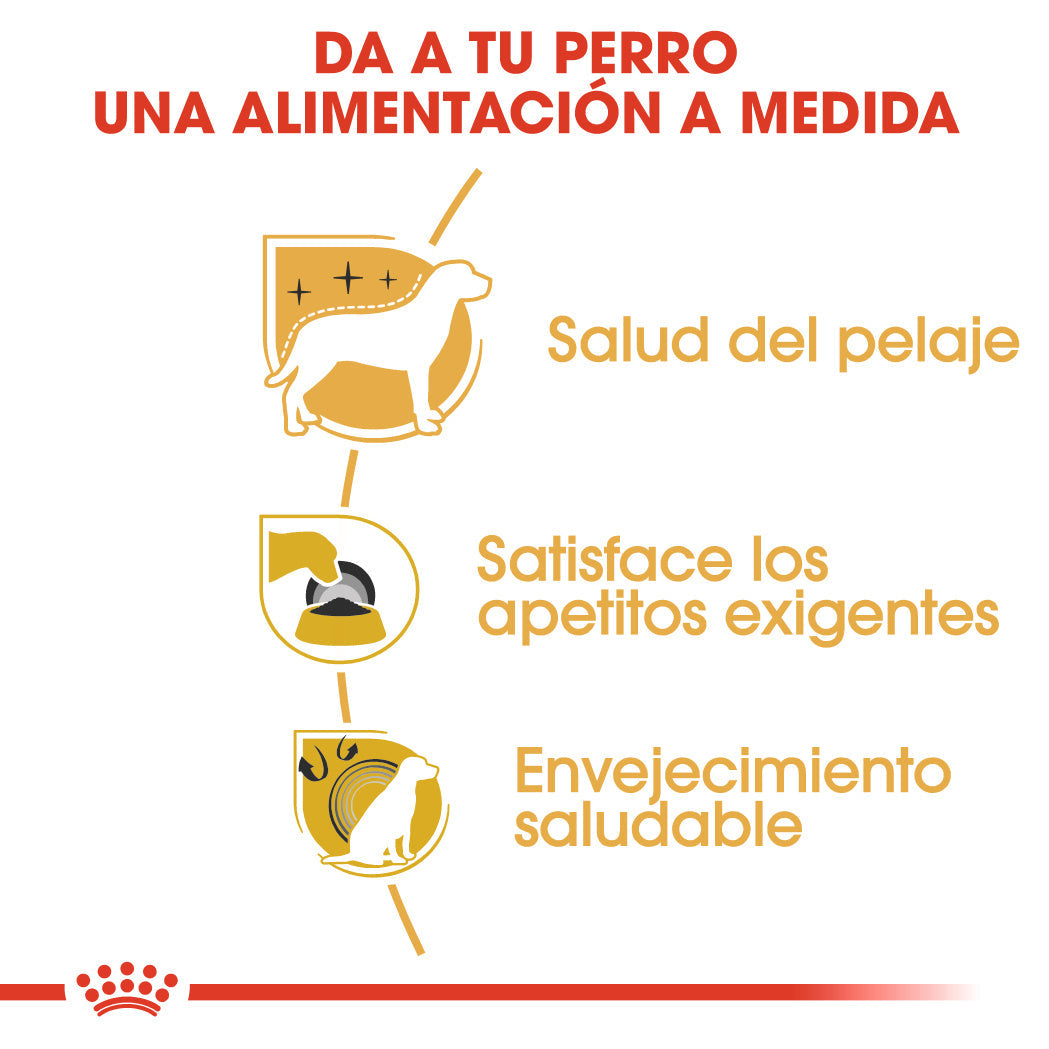 Royal Canin Yorkshire Terrier Adulto Pienso para Perros de Raza al mejor precio -todoastorenimal.com