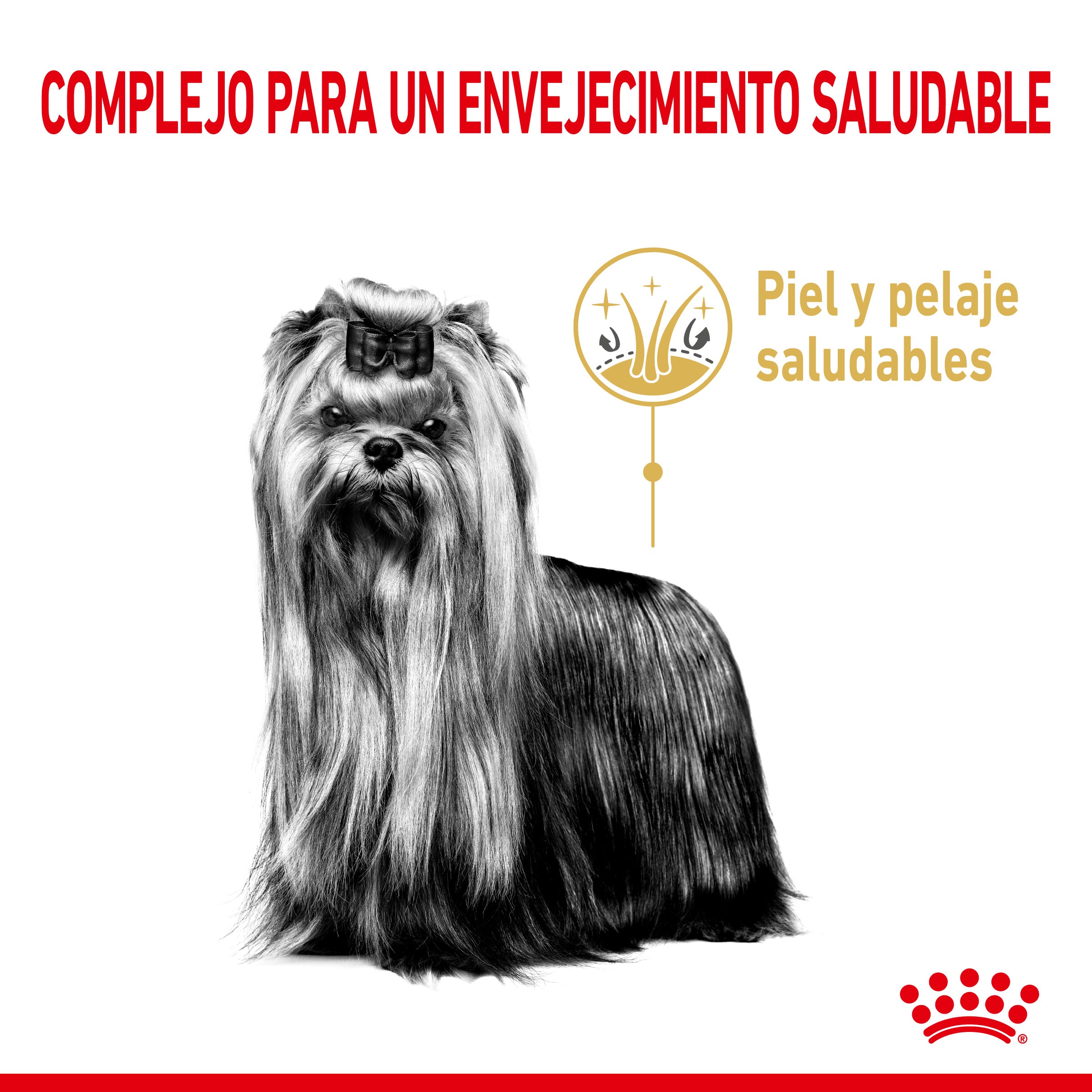Royal Canin Yorkshire Terrier Ageing 8+ Pienso para Perros de Raza al mejor precio -todoastorenimal.com