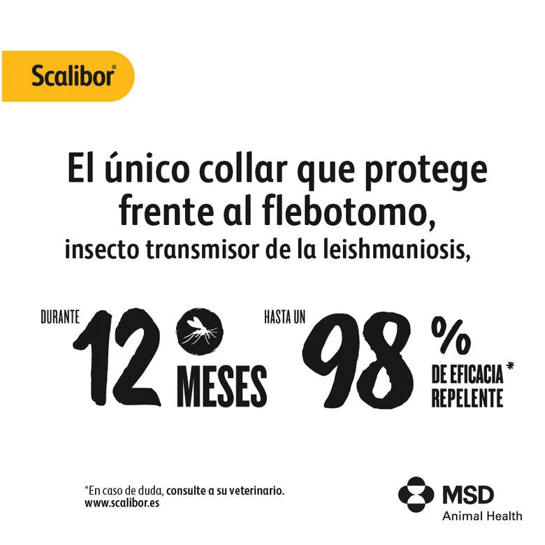 Scalibor Collar Antiparasitario para Perros | Mosquito Leishmania | Pulgas | Garrapatas al mejor precio -todoastorenimal.com