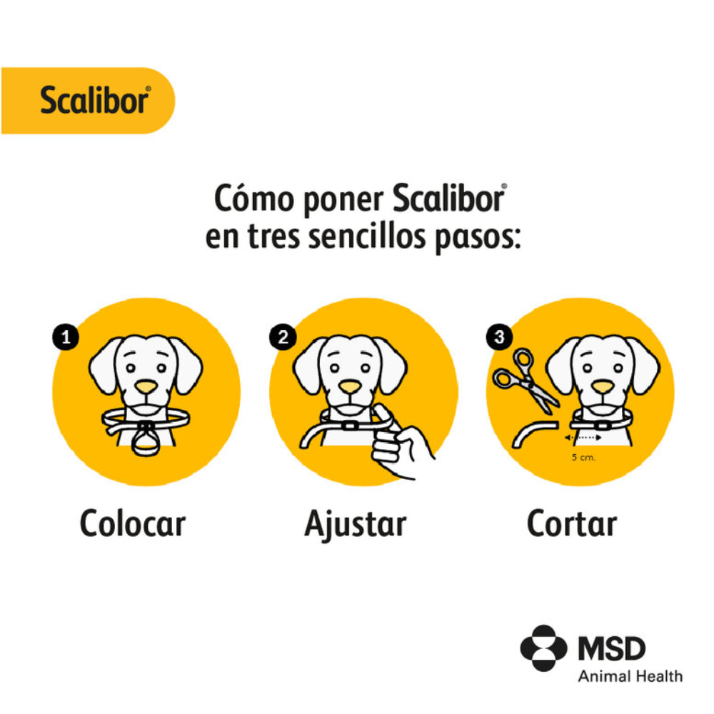 Scalibor Collar Antiparasitario para Perros | Mosquito Leishmania | Pulgas | Garrapatas al mejor precio -todoastorenimal.com