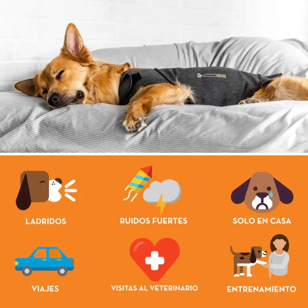 Thundershirt Chaleco Relajante Antiestrés y Ansiedad para Perros al mejor precio -todoastorenimal.com