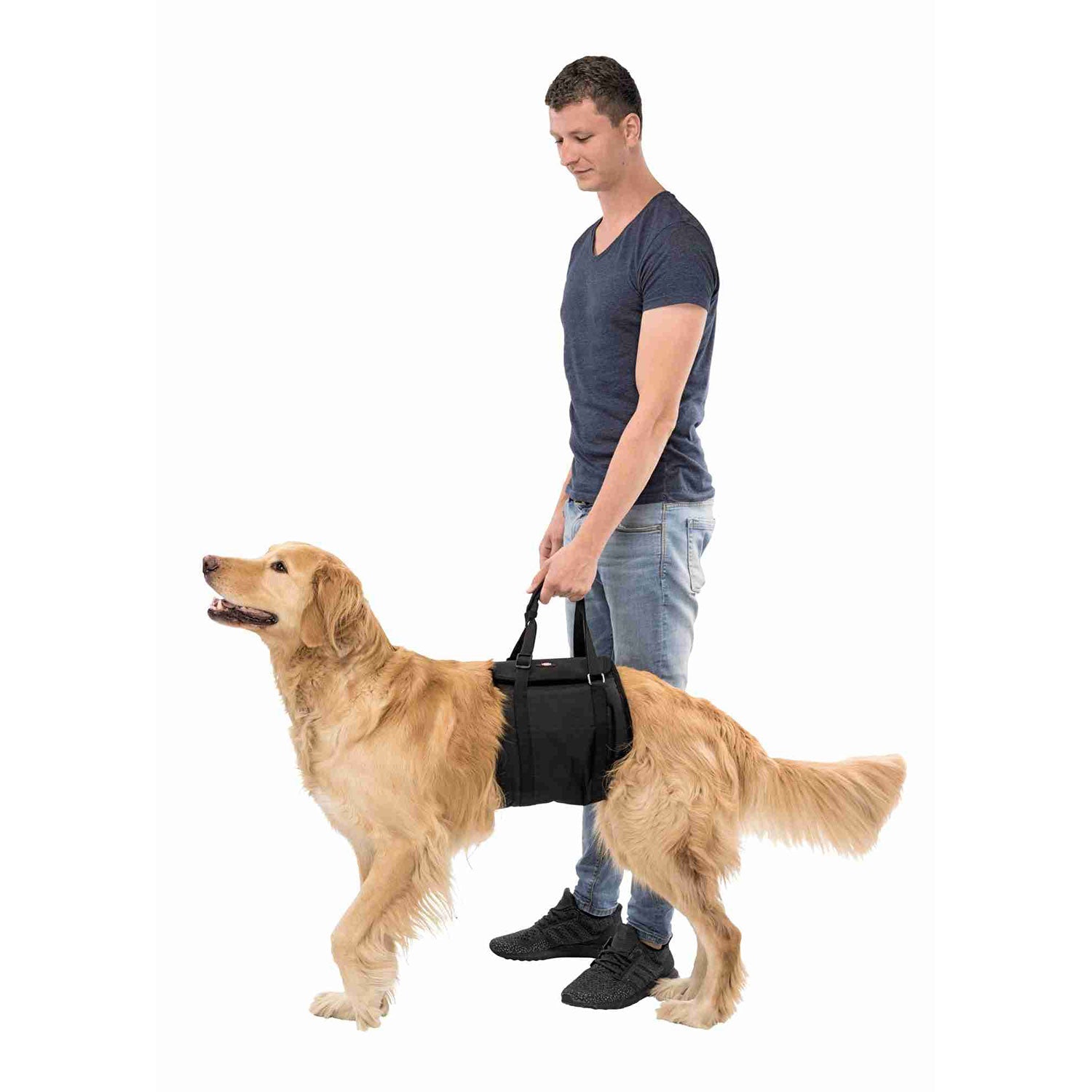 Trixie Arnés Ortopédico Para Perros | Elevador Patas Traseras al mejor precio -todoastorenimal.com