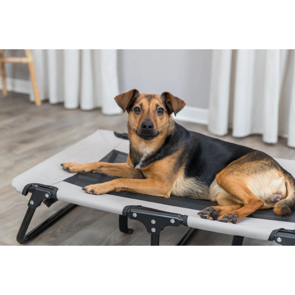 Trixie Cama Elevada para Perros Tumbona Cómoda Relax al mejor precio -todoastorenimal.com