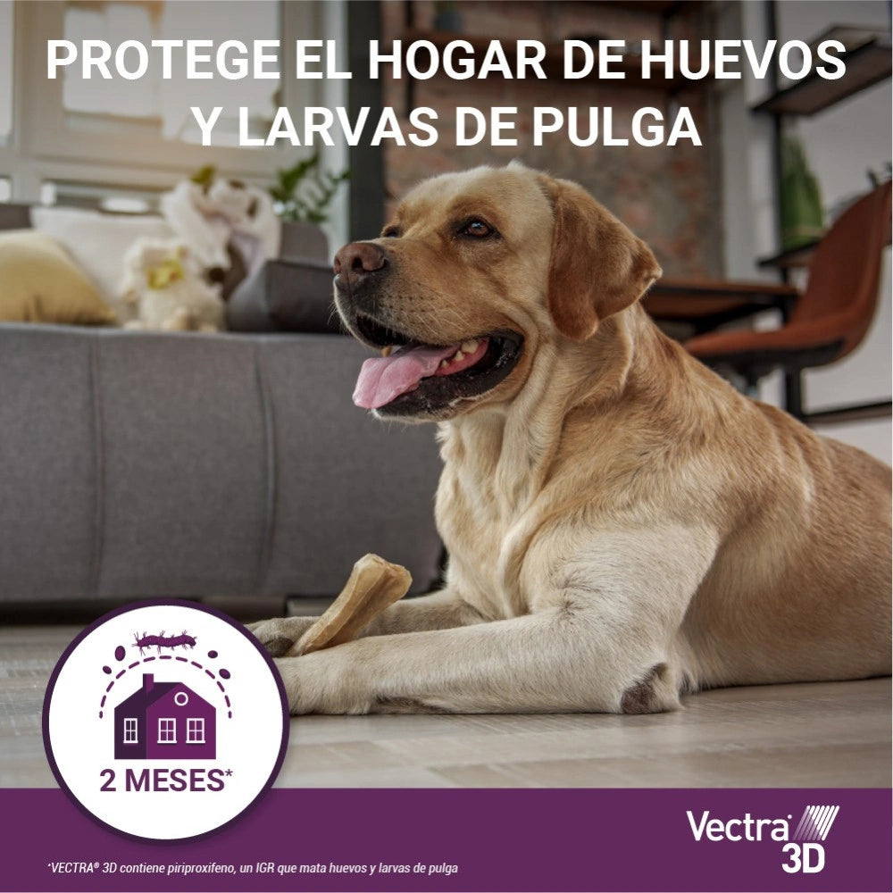 Vectra 3D Pipeta Antiparasitaria para Perros al mejor precio -todoastorenimal.com