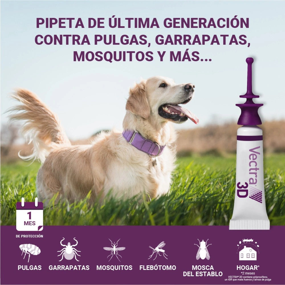 Vectra 3D Pipeta Antiparasitaria para Perros al mejor precio -todoastorenimal.com