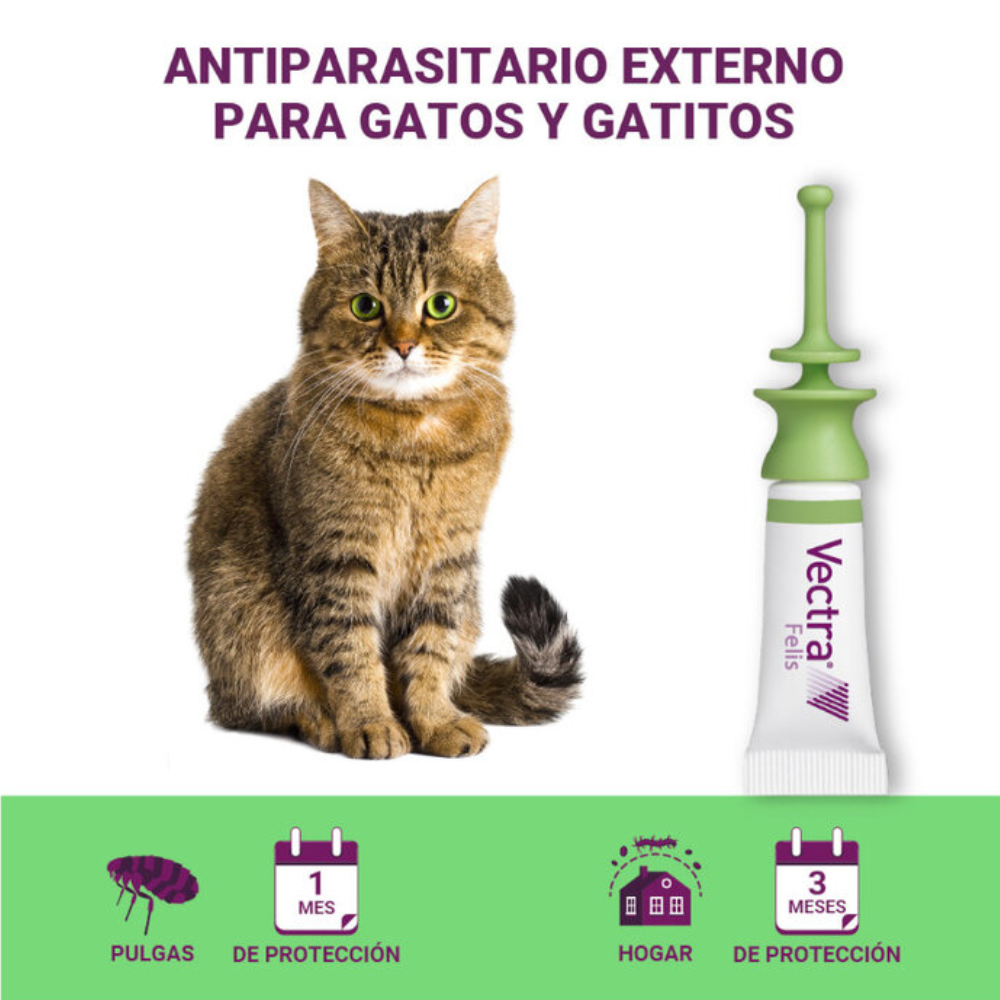 Vectra Felis Pipetas Antiparasitarias para gatos al mejor precio -todoastorenimal.com
