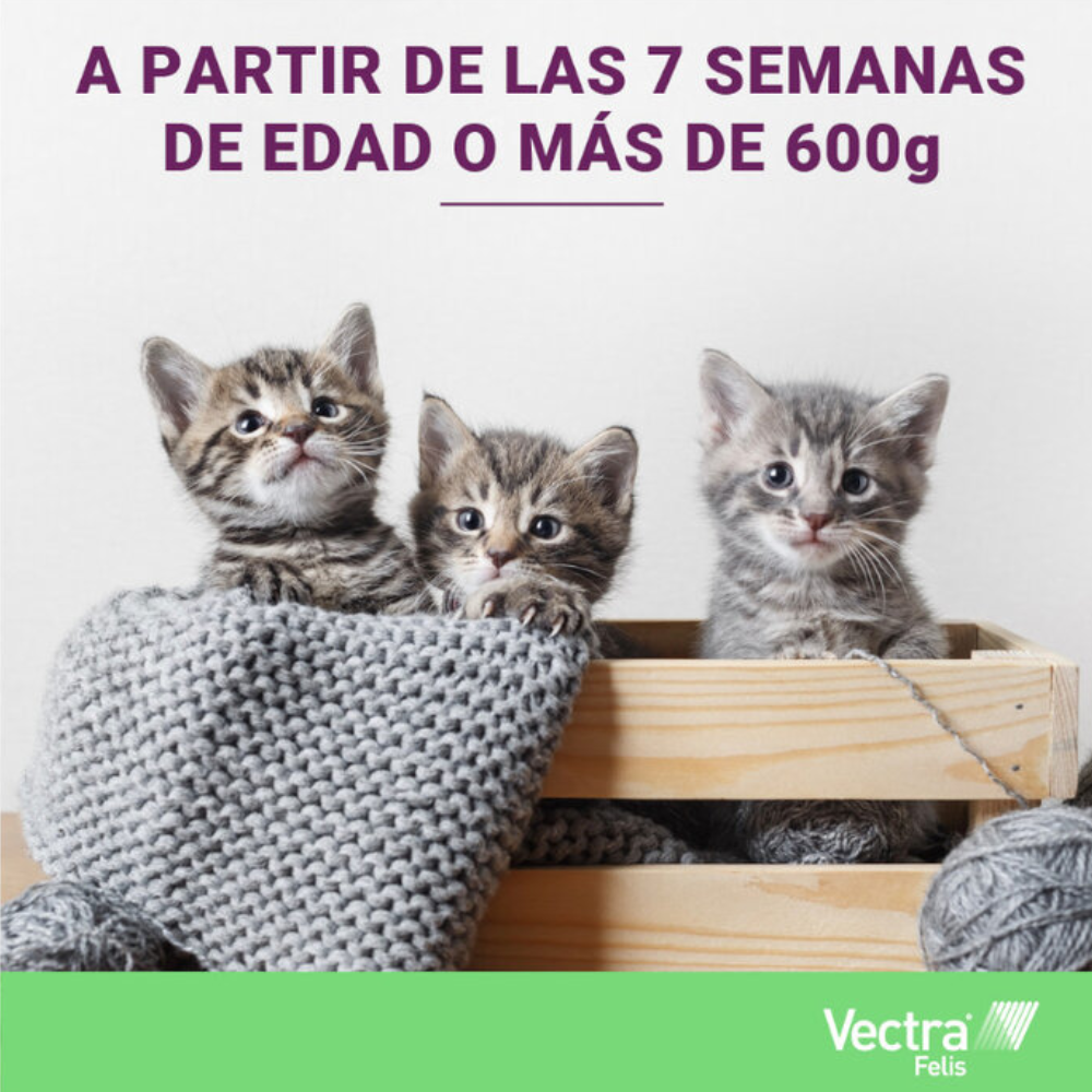 Vectra Felis Pipetas Antiparasitarias para gatos al mejor precio -todoastorenimal.com