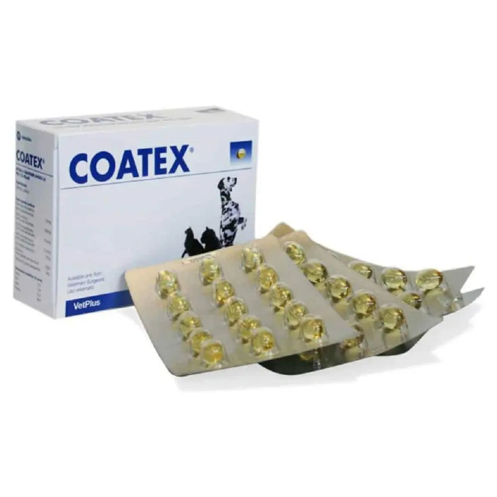 VetPlus Coatex 60 Perlas Omega 3 y Omega 6 Ácidos Grasos Complemento Piel y Pelaje de Perros al mejor precio -todoastorenimal.com