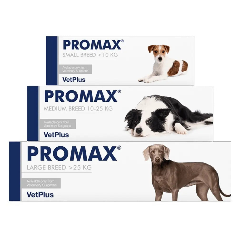 VetPlus Promax Complemento Antidiarréico para Perros al mejor precio -todoastorenimal.com