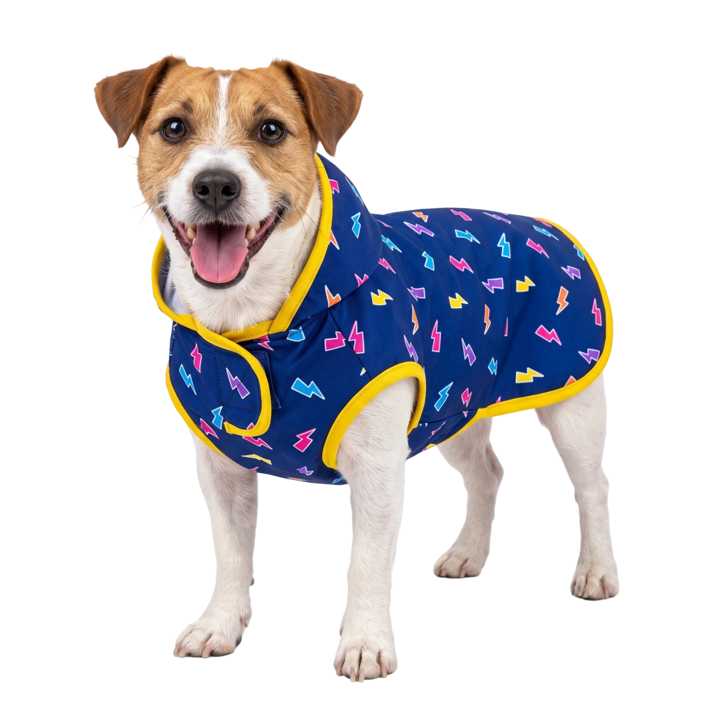Welova Impermeable Rayos para Perros al mejor precio -todoastorenimal.com
