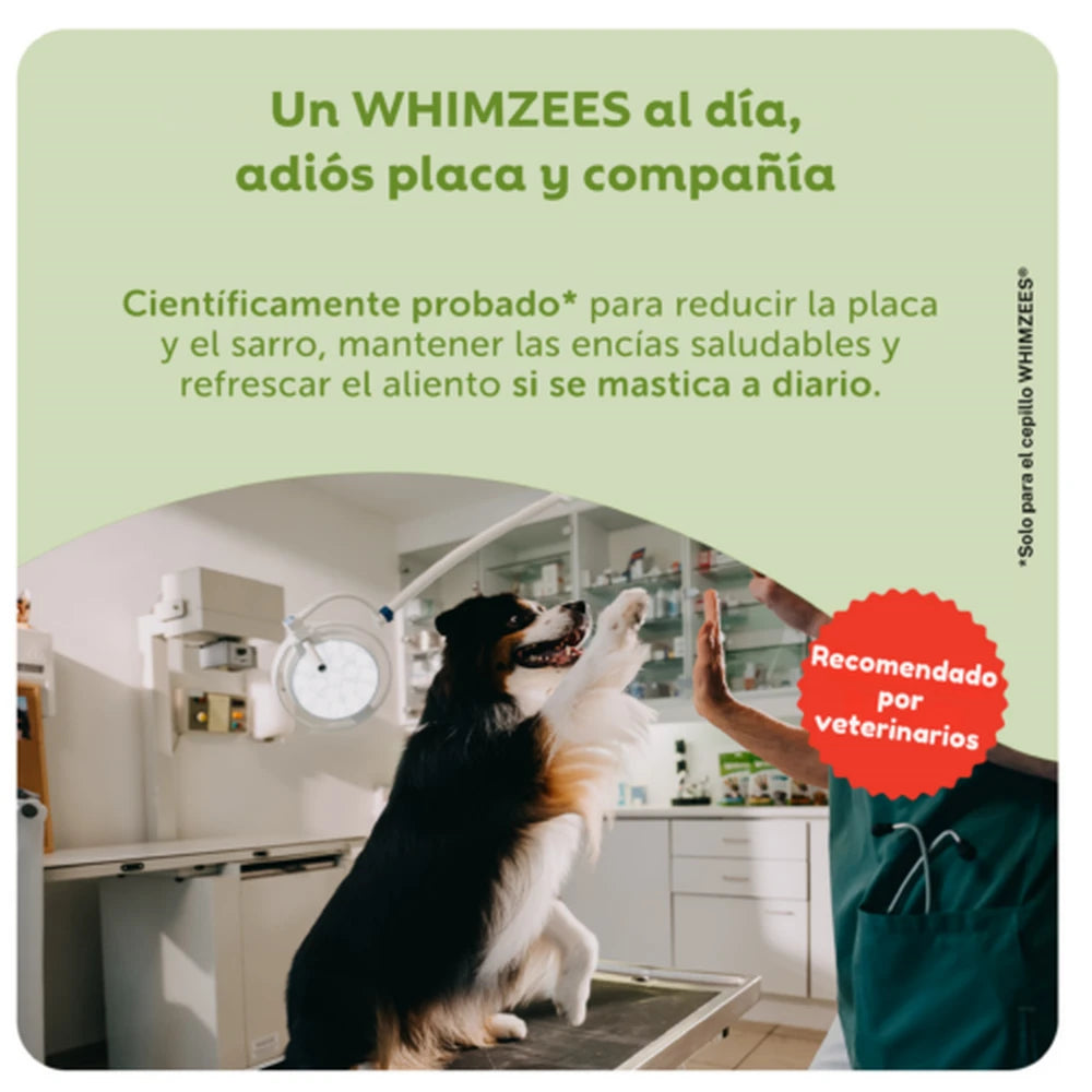 Whimzees Toothbrush Cepillo de Dientes Snack Dental para Perros al mejor precio -todoastorenimal.com