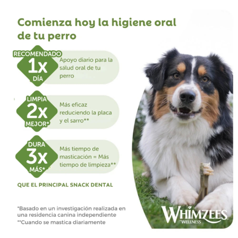Whimzees Toothbrush Cepillo de Dientes Snack Dental para Perros al mejor precio -todoastorenimal.com