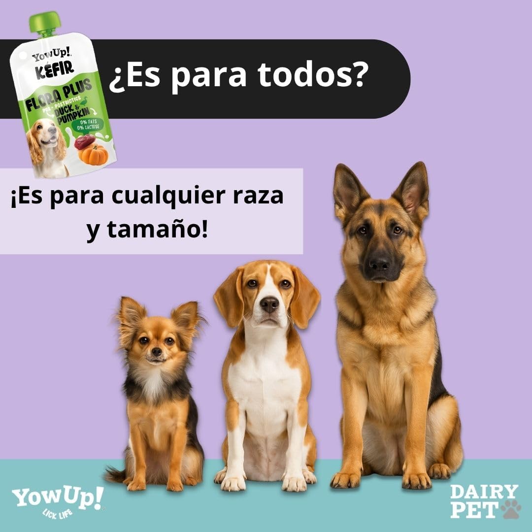YowUp Flora Plus Kéfir con Pato y Calabaza para Perros 115 g al mejor precio -todoastorenimal.com