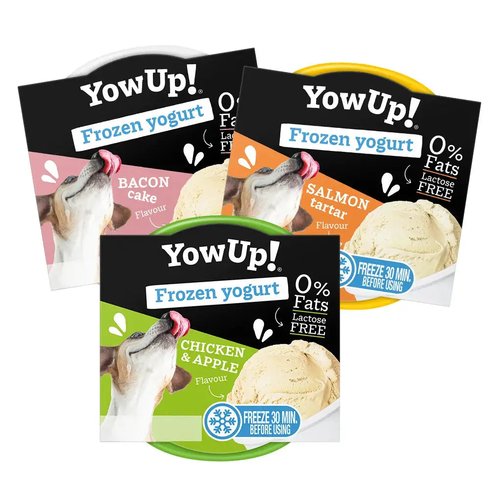Yowup Helado Yogurt Tartar Salmón 110 g al mejor precio -todoastorenimal.com