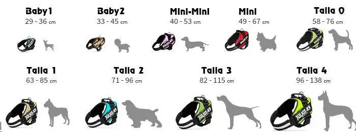 ARNES IDC JULIUS-K9 MINI ROJO 49-67cm.